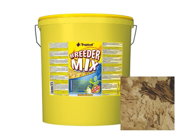 Alimentação