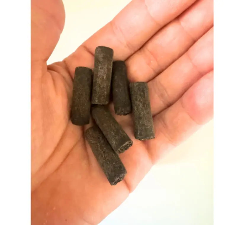 Hydra Roots