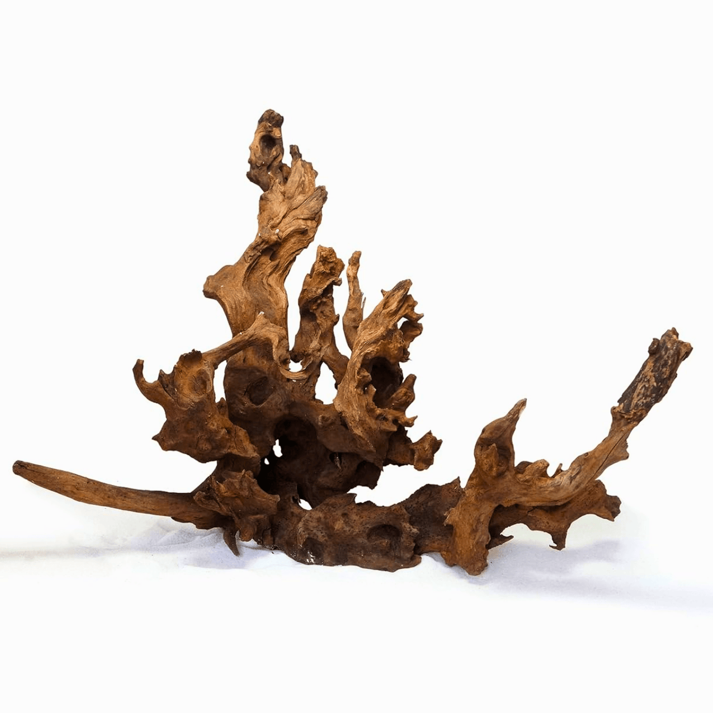Strideways Driftwood - Hornwood (Kg)