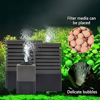 Filtros de Esponja