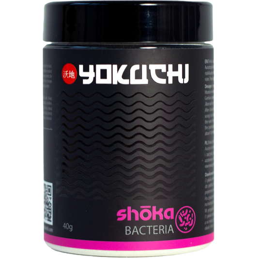 YOKUCHI Shoka Bacteria 40g